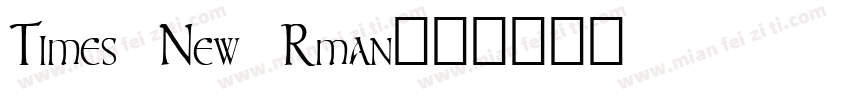 Times New Rman字体转换